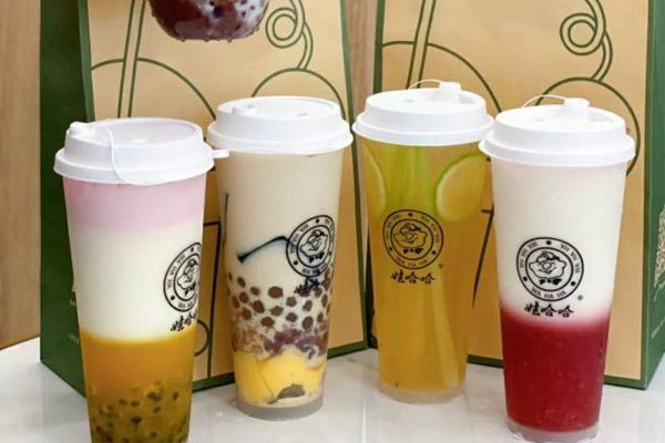娃哈哈奶茶产品图4