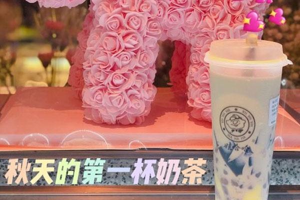 娃哈哈奶茶产品图2