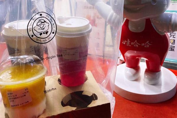 娃哈哈奶茶产品图3