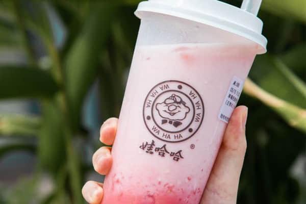 娃哈哈奶茶产品图2
