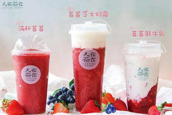 人在茶在产品图1