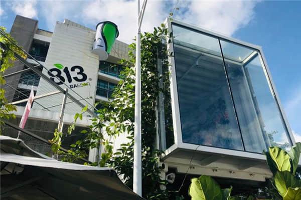 813奶茶产品图2