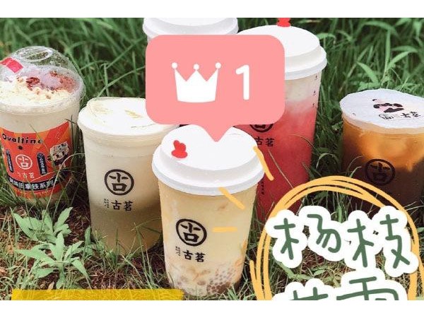 加盟古茗奶茶让致富成为现实！古茗奶茶加盟费很贵吗？