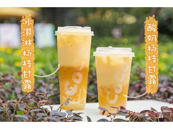 coco奶茶加盟要多少钱？万元投资项目，致富商机之选
