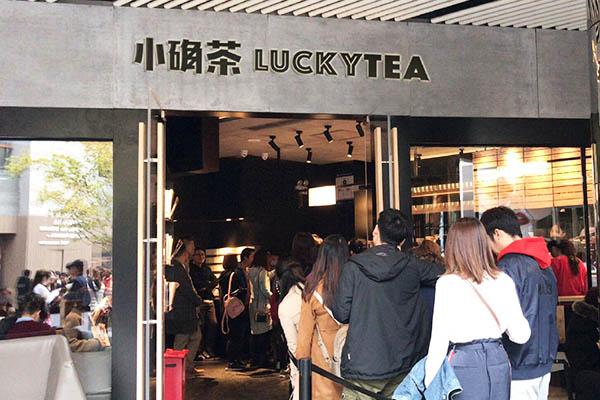 小确茶产品图4