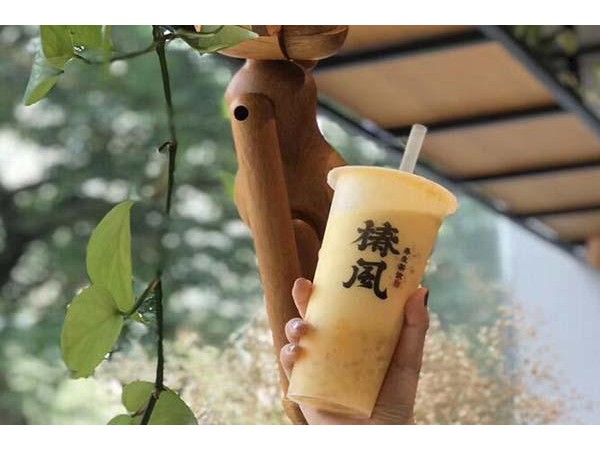 椿风一般利润有多少，丨优势多多