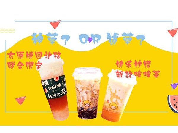 快乐柠檬浙江温州总部现在还能加盟吗，小白开店必知