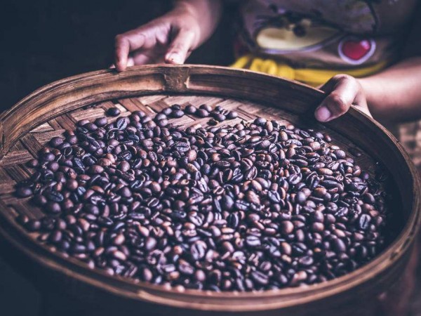 印度尼西亚咖啡消费年增长36%，成全球增速最快的国家之一