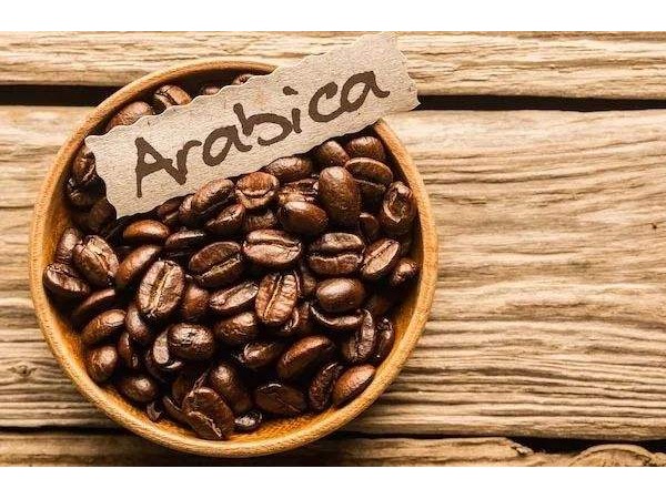 2018/19年度全球咖啡产量1.745亿袋，期末库存3710万袋