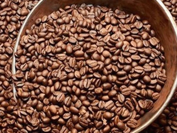墨西哥呼吁中美洲国家联合起来影响咖啡价格
