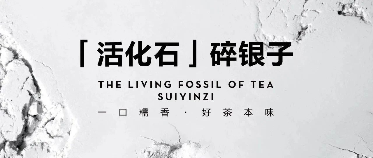 当产品创新不再是喜茶的标杆！喜茶要如何当“大哥”？
