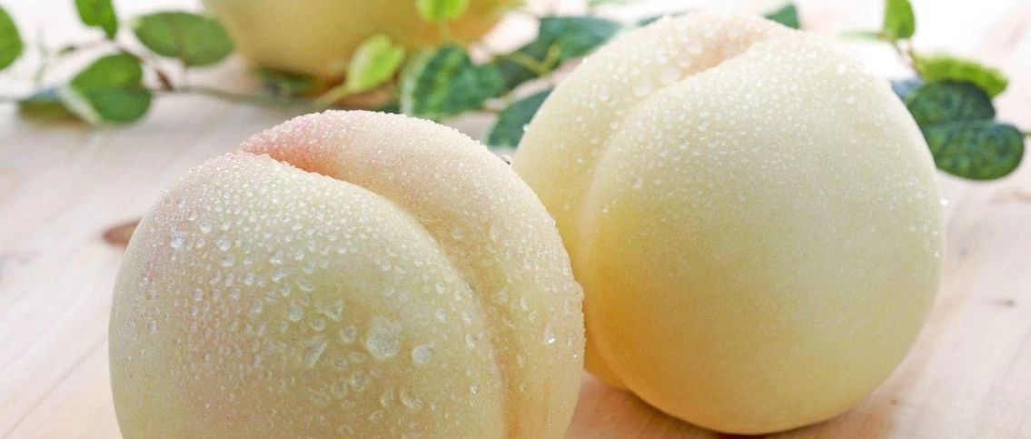 桃子类产品火了 什么桃更适合做茶饮？