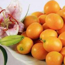 【产品攻略】 夏季养生潮流饮品金橘柠檬