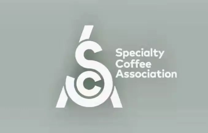 新精品咖啡协会SCA诞生，你会再追“考证潮”吗？