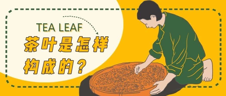 开了年奶茶店，茶叶是用什么做的，你知道吗？