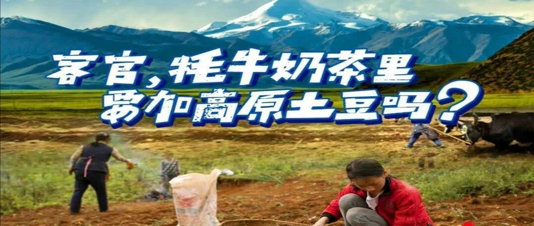 牦牛土豆鲜奶茶 西藏茶饮界的创新 这次亮了！