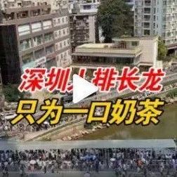 排队人数超万 茶颜悦色深圳亮相再刷屏