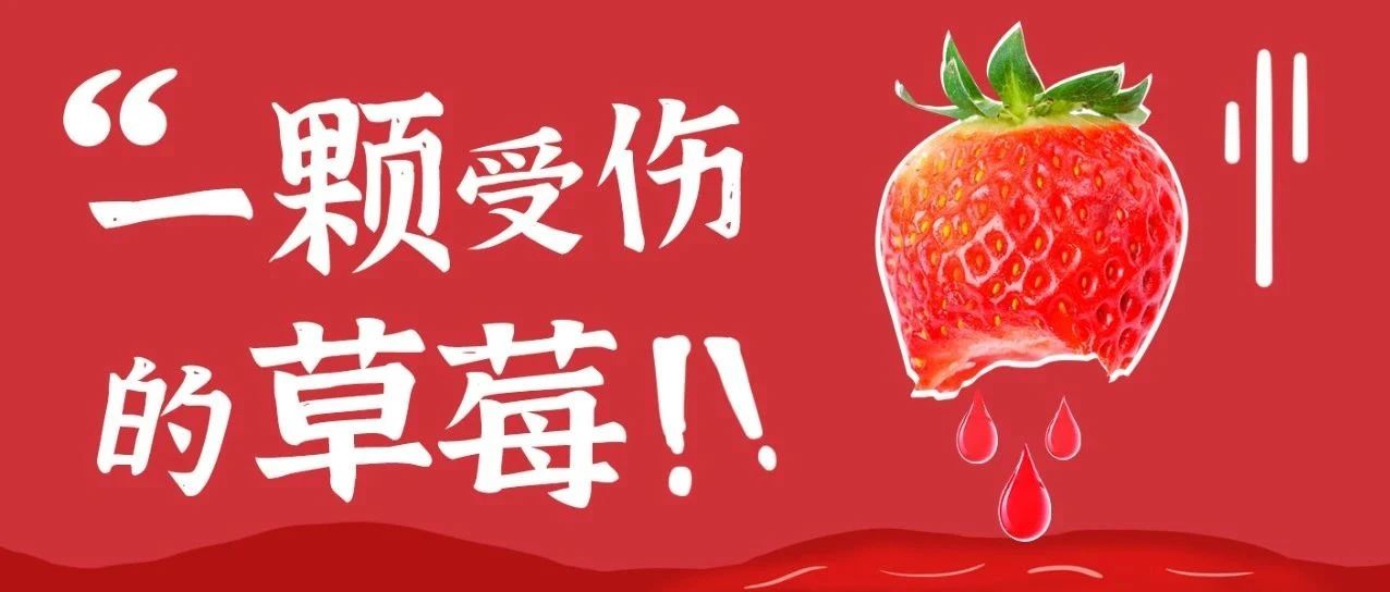 一颗受伤的草莓正在直播......