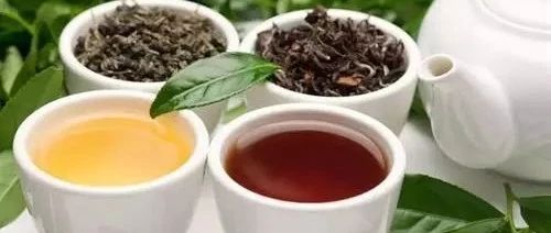 乌龙系列茶怎样泡最好？来看行业研发大师的泡茶法（文末有配方）