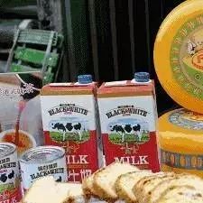 黑白淡奶产品怎么样   一群从业者去荷兰看了看