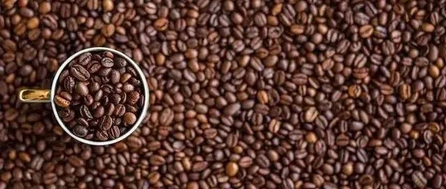 云南咖啡豆价格创年新高  跟星巴克、瑞幸涨价有多大关系？