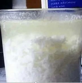 你的奶茶里总有白色絮状物 问题找到了吗？