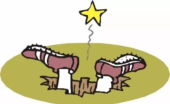开店日记 | 开咖啡馆年赔 多万，最后被逼到卖盒饭
