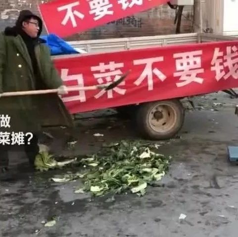 小伙子拉一车白菜，光送不卖， 个小时赚了，你觉得懵吗