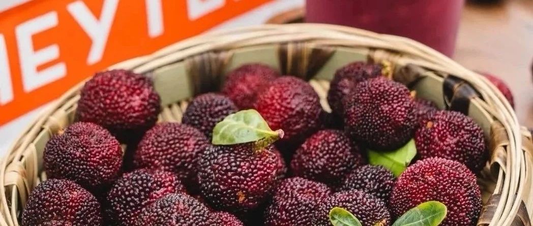 喜茶多肉杨梅回归 首日售出万杯 凭什么？