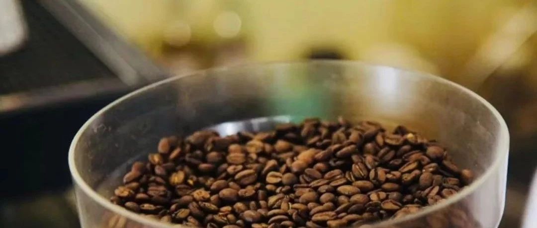 咖啡小知识 | 为什么要养豆？咖啡豆应该如何养？