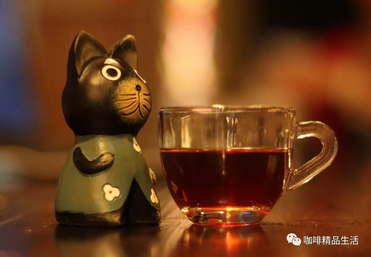 咖啡与爱情如何兼得|找个懂得欣赏你的人在一起
