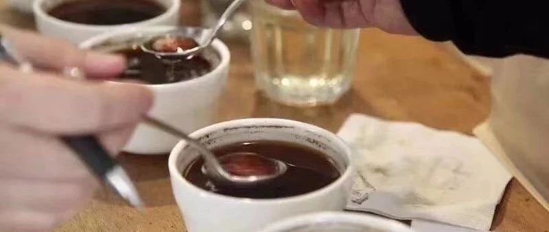 咖啡冷知识 | 为什么咖啡闻起来跟喝起来好像不太一样？