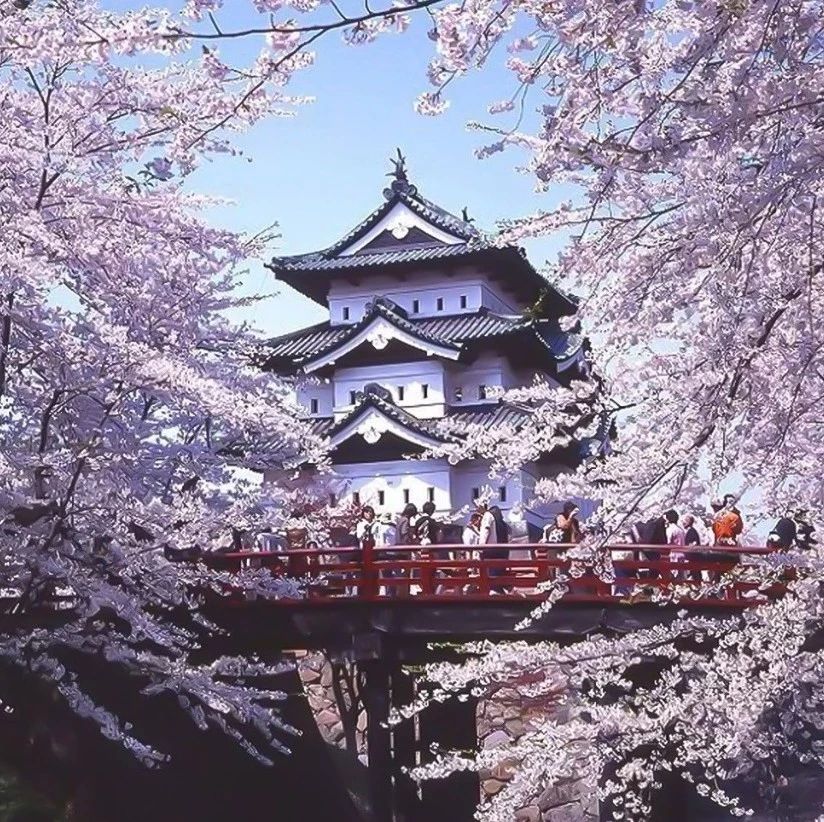 樱花季，这些大品牌组团贩卖“春天”！