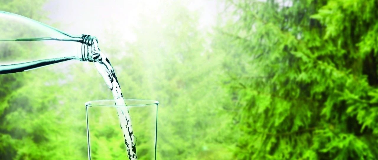 用哪种水冲煮咖啡最好？| 科普好文