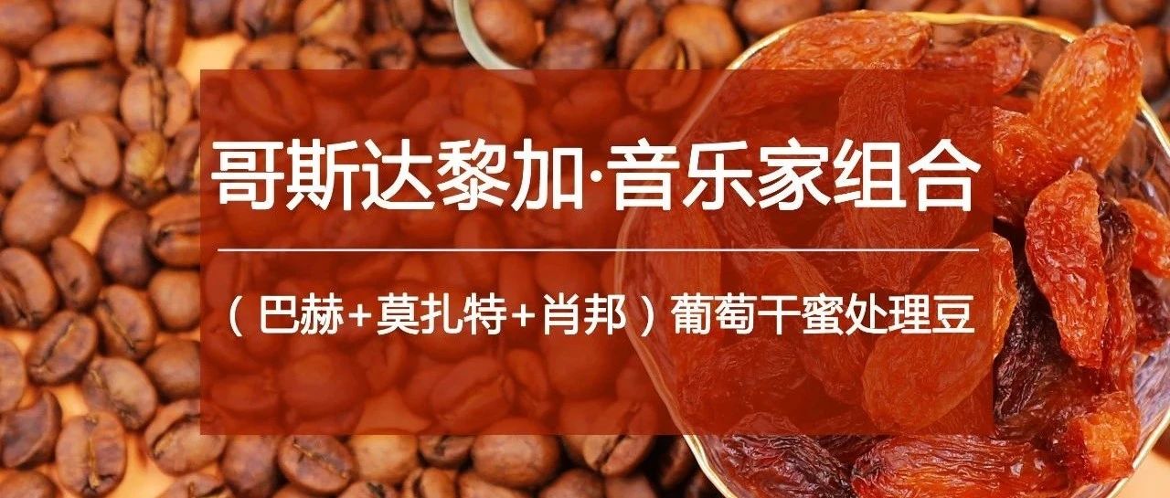 音乐家好豆买送，只在今天，爱就带走 :)
