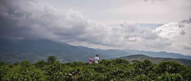 世界咖啡巡礼 | 第 站 第三大咖啡出口国之哥伦比亚