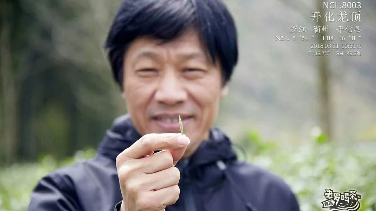 茶界劳模罗军：我要一年给你 款茶！| 跟着老罗喝茶