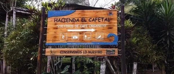 世界产区巡礼 | 第 站  海拔最高的阿拉比卡咖啡种植国——厄瓜多尔