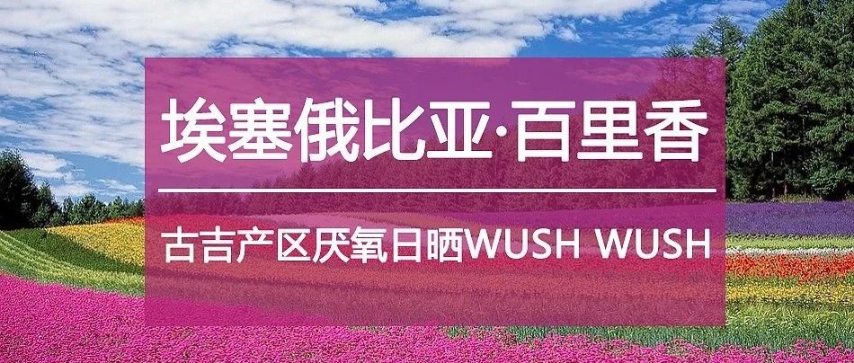 又①爆款咖啡豆上线，名字亮了 :)