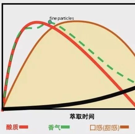 【手冲技巧】影响咖啡冲煮的关键因素：萃取时间