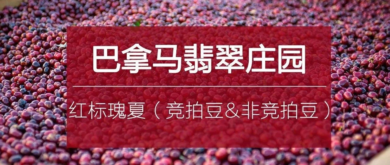 翡翠庄园红标瑰夏来了， 豆齐发，识货就带走！