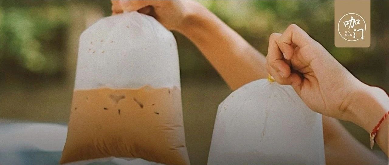 换个包装就能火？最近“袋装奶茶”几乎开遍了半个中国