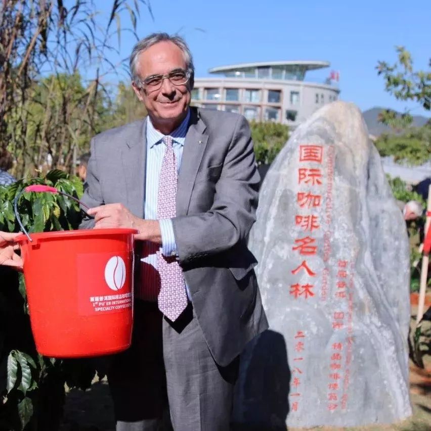 国际咖啡名人在普洱种下咖啡树与希望