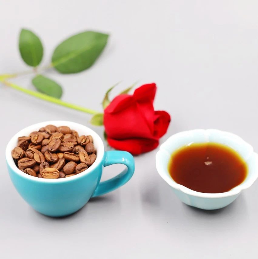 周末有好豆 | 这杯 分的绿顶瑰夏，你喝过吗？