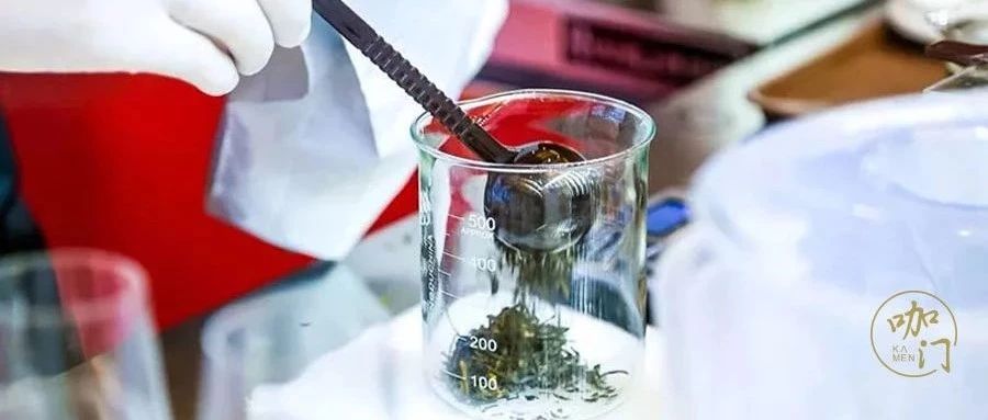 选手访谈：从星巴克拿铁冠军到冲刺“饮力新青年” | “新饮力” 新茶饮大赛