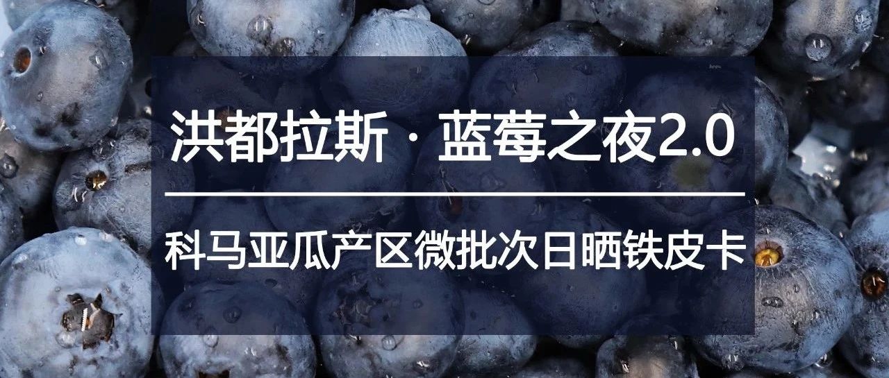 洪都拉斯新豆第包半价，只在今天！
