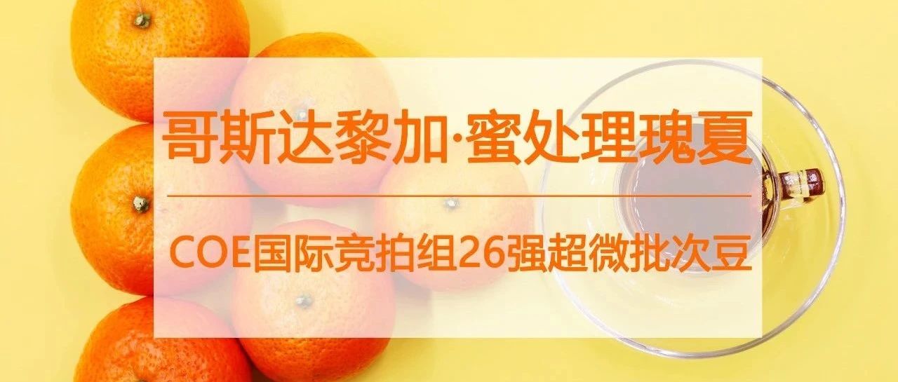 蜜处理瑰夏，有多甜？（小心别点开…）