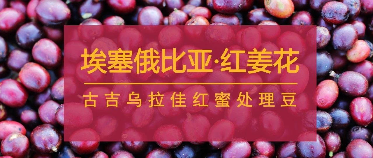 埃塞好豆"红姜花"来了，#限时特惠#别错过！