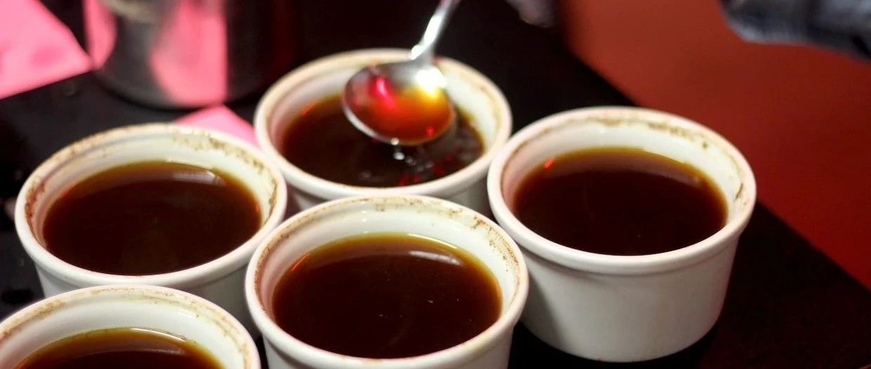 疫情全球肆虐，咖啡杯测将被终结？