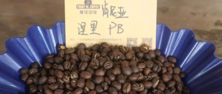 前街咖啡研习课|肯尼亚 PB小圆豆